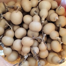 �����������������J �ְѺ��J 6-8���� ��Ʒ������J