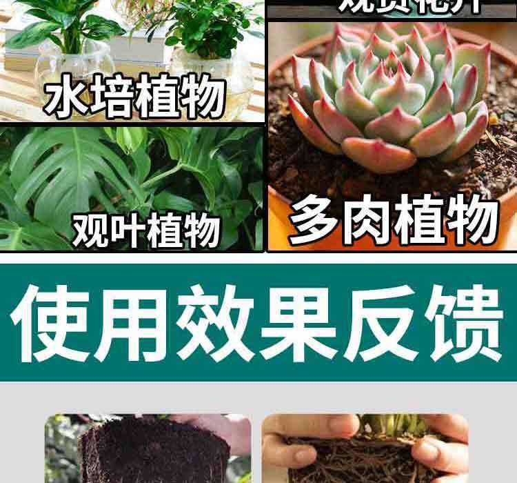 0f683a3a-dd8b-4f4d-ba07-dcfc1f47a167.jpe