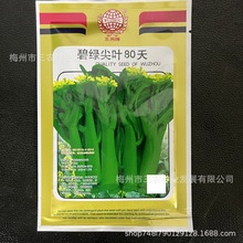 Ʊ̾G~80Ѳˈ@ԺӷNֲ߲˷NlSֱN