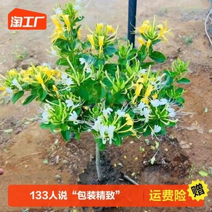 һ�����lʳ�ý��y������������������Ϙ����������ļ��_����