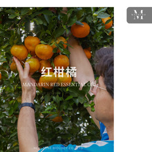 �t���پ���(Mandarin) ������ԠI�a�^�M�چη�����