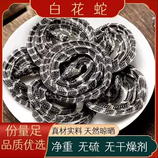 中药材 金钱白花蛇 各种规格 金钱花蛇 实物拍摄免费打粉白花蛇