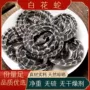 各种实物拍摄中药材