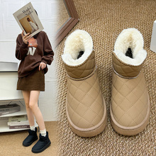 2025궬¿ӺůӽqѩѥŮһ_ŶѥaeWЬ