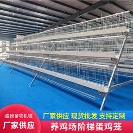 蛋鸡养殖场笼三四层叠式阶梯式蛋鸡笼家用母鸡下蛋笼滚蛋鸡笼子
