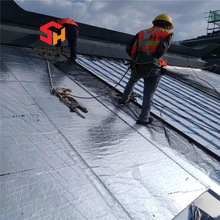 ���ϏV�|Ӱ�ǰ���ʽ��\�������Ŀԭɫ��\�� �A�g���\0.7��r��