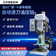 ��׼�Ԅӿɴ�����S����ˮѭ�h����̨SS-YD30��̖�͉�����荙Cе