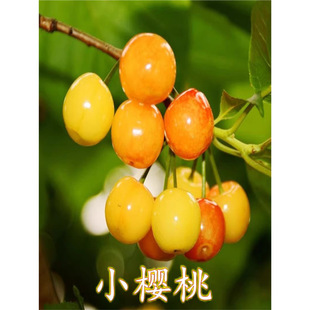 �Ї������Ĵ�С���Ҙ����r�������Ҙ�����ش����Ե����ϱ����Nֲ