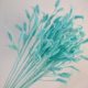 Handmade Artificial Flowers, Crocheted Bouquets, Immortalized Flowers, Roses, Woven Wool Flowers, Holiday Ornaments, Gift Floral Arrangements