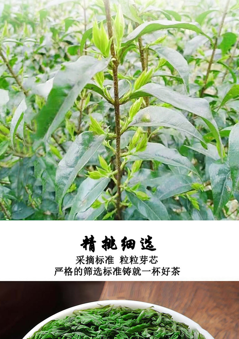 Small Leaf Kuding Tea Ku Ding Cha 70g Can Wild Style Green Bitter Tea Hot Brew Daily Herbal Drink overview