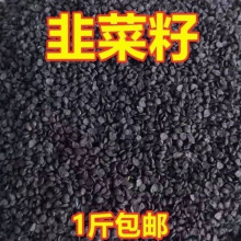 生韭菜子炒熟韭菜子籽中药材韭菜子籽粉医用男性泡酒泡茶中药材