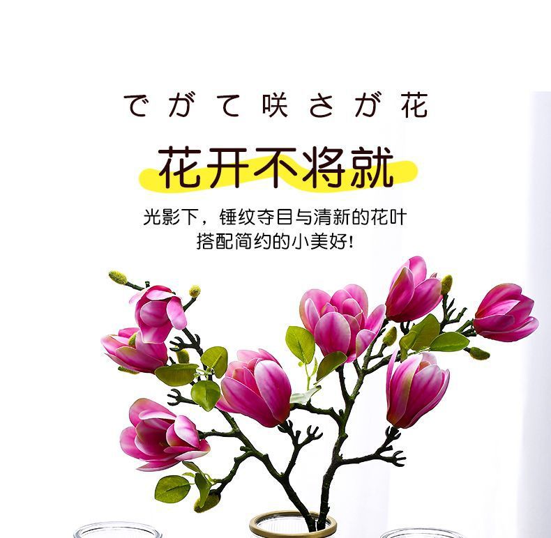 c167ea37-4af1-44c7-a02f-9311cbec9e7a.jpe