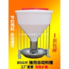 �i�ô�Ͱ�ϲ�80�����i���ɲ�ʳ���Ԅ����������i���i���P��iʳ��