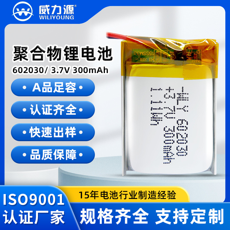 602030/300mAh
