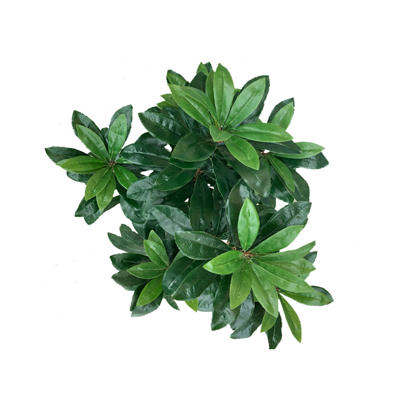 XRS-067 7#杨梅叶7#盆栽0 (12).jpg