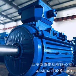 ��̩�߉����ஐ��늙C	YX2-5602-8	560KW	10KV	䓰庸����ʽ�C��