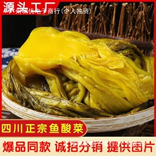 四川贵州正宗酸菜老坛酸菜下饭酸菜鱼酸咸适中袋装批发商用家用新