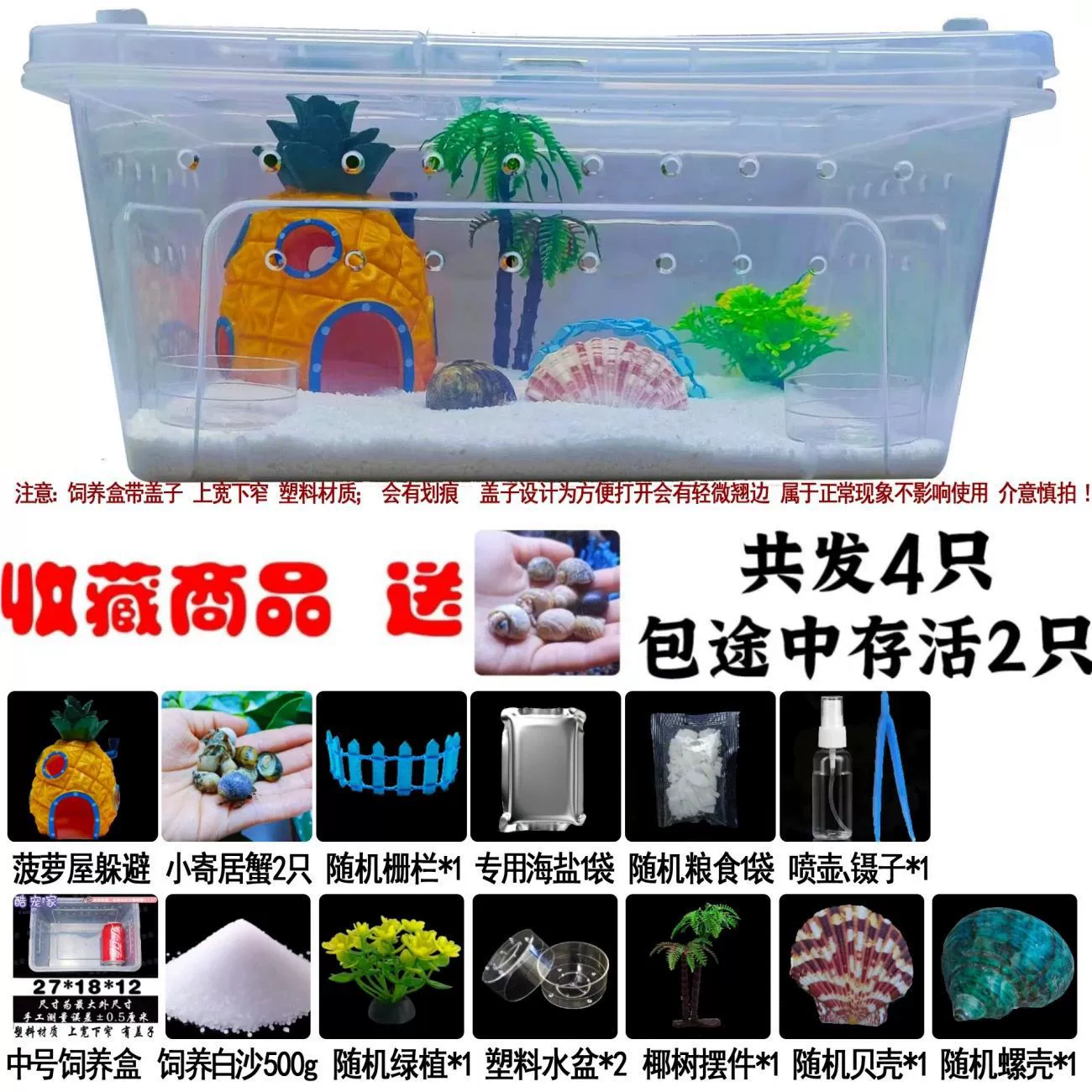 Маленький бобовый краб-отшельник набор для разведения крабов-отшельников