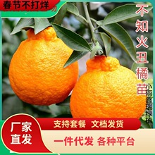 һ�����l�޽�ɳ�ǽ��Ә�����٘����ĕ�ɰ���������Թ����Ϸ��Nֲ