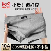 猫人男士内裤男款棉裆四角名牌正品男生2025新款短裤头