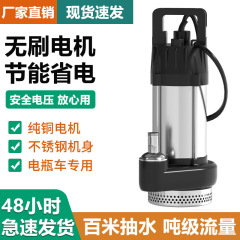 无刷直流潜水泵高扬程48V60V72伏通用电动电瓶车抽水泵抽水机