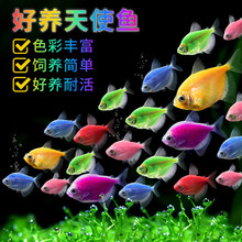 �Ꭷ�~С���~���^�p�~���B�ˮȺ����ʹ�~ˮ��С������~���R�~