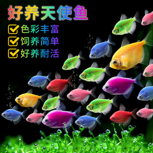 �Ꭷ�~С���~���^�p�~���B�ˮȺ����ʹ�~ˮ��С������~���R�~