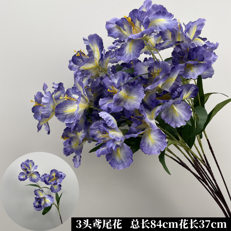 파란색 파란색 보라색 3 머리 붓꽃