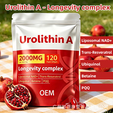 ���R�d�羳��ʯ��A�ͺ�ܛ�z��Urolithin A NAD+��޼�J���z��֬�|