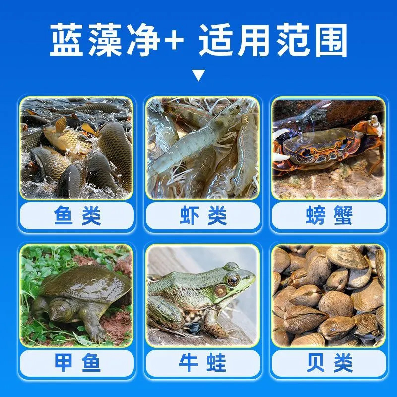 藍藻分解酵素 生物分解精 魚池の敵 藻類除去剤 速効性養殖用 藍藻除去剤|undefined