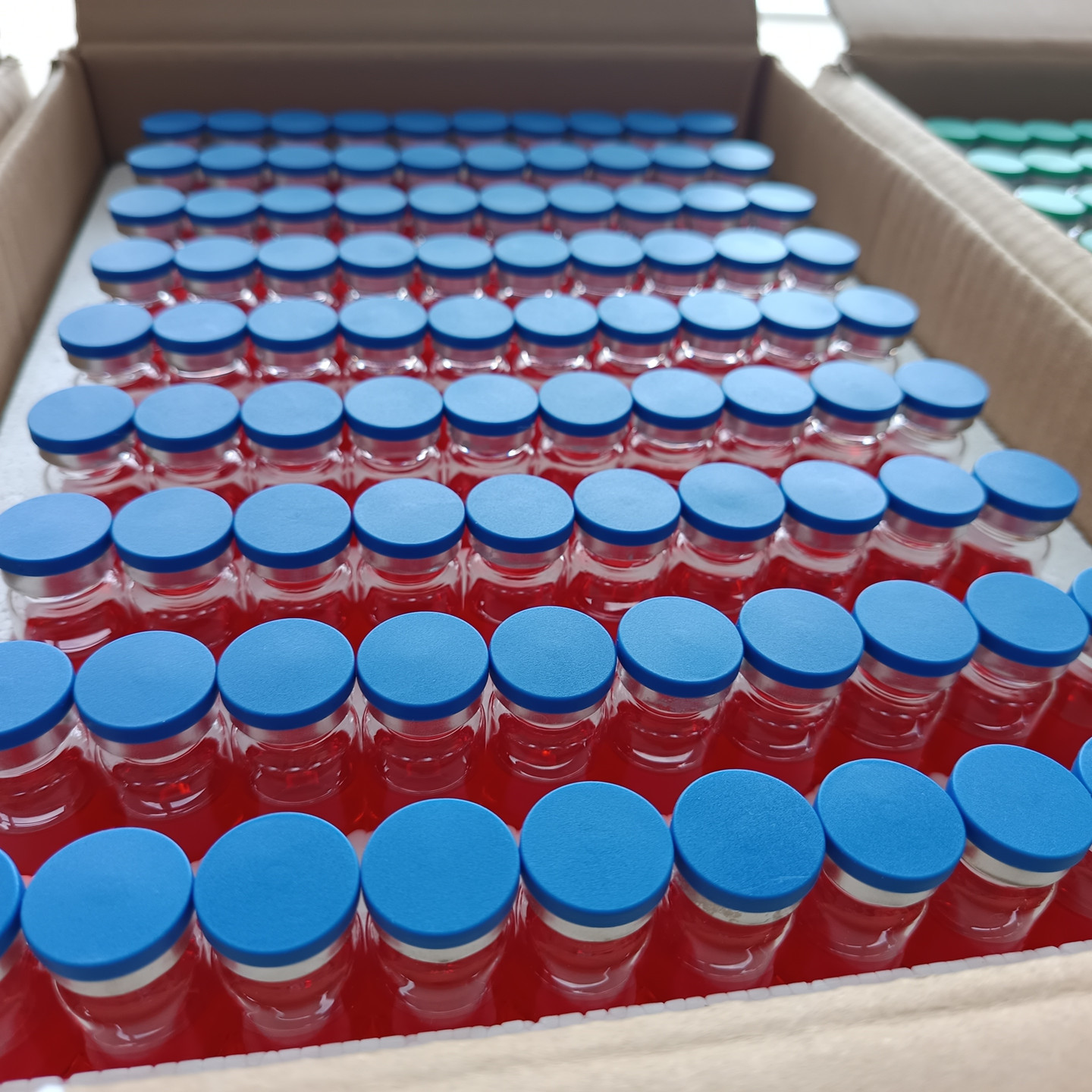 腐生菌测试瓶型号:ZX/KBC-TGB库号：M410001