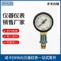 水压温控耐震高压液压表