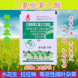 ���l�������������������Ұ��}������������~�s�ݳ��݄�