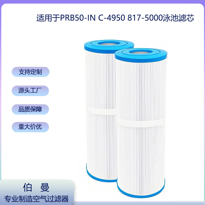 现货跨境热销SPA热水浴缸过滤配件适配PRB50-IN泳池滤芯817-5000