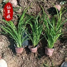 ����ݱ��� ����ͥԺ���@�G���������l�޸����������������