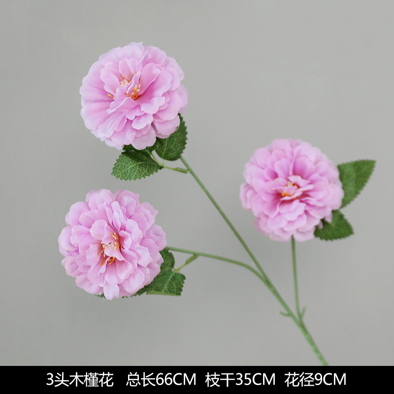 3 flores de hibisco