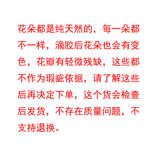 Cross-border e-commerce colorful glue dried flower keychain popular pastoral style daisy transparent flower pendant bag pendant