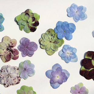 Double Hydrangea Embossed Mobile Phone Shell Embossed Painting Plant Specimen Dried Flower Bookmark Face Decoration Dried Flower