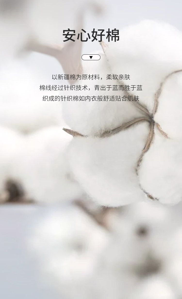 米呢奥代尔复合_05