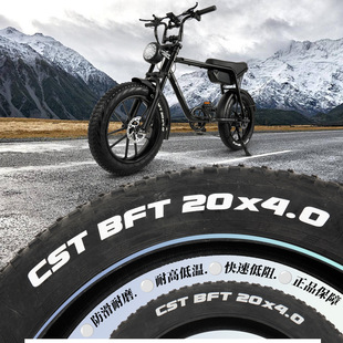 ����20��݆̥ѩ��܇ɳ��܇��̥20x4.0ԽҰ��̥20x1-1/4