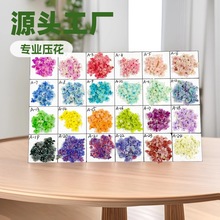 ��ϵins�L�������׸ɻ� ��ȻѺ�����ﻨ ���S���l �������滨