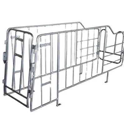 2025-03-26 10:00:13.jpg