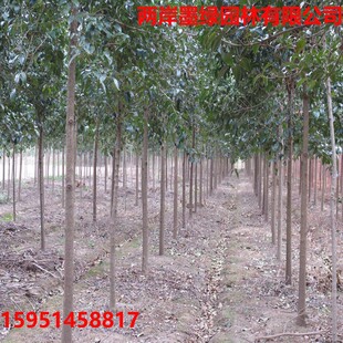 ���~Ůؑ��ߗU��ľ�E���L�~ŮؑϞ��ˮϞ���~ŮؑС��Ů�������l