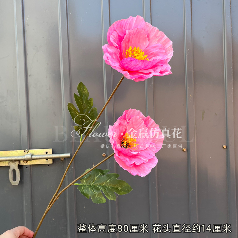 새로운 2 머리 큰 양귀비