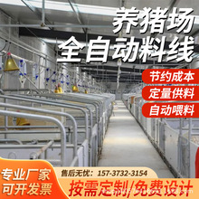 猪料线 母猪舍定量杯赛盘链条料线 全自动喂料系统 全自动料线