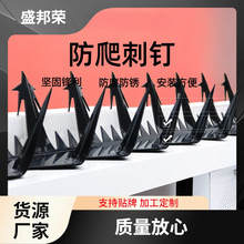 ʢ��s��ʢ������̴��F�̷��I�׃��@ᔺ�ɫ���\�����o����s��ʢ