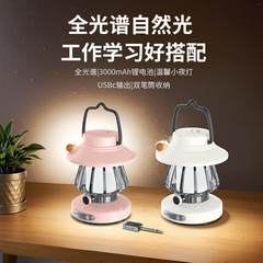 DIY 小さなカタツムリキャンプナイトライト学生寮ポータブル屋外テーブルランプ馬ランタンテントキャンプ雰囲気ライト目の保護