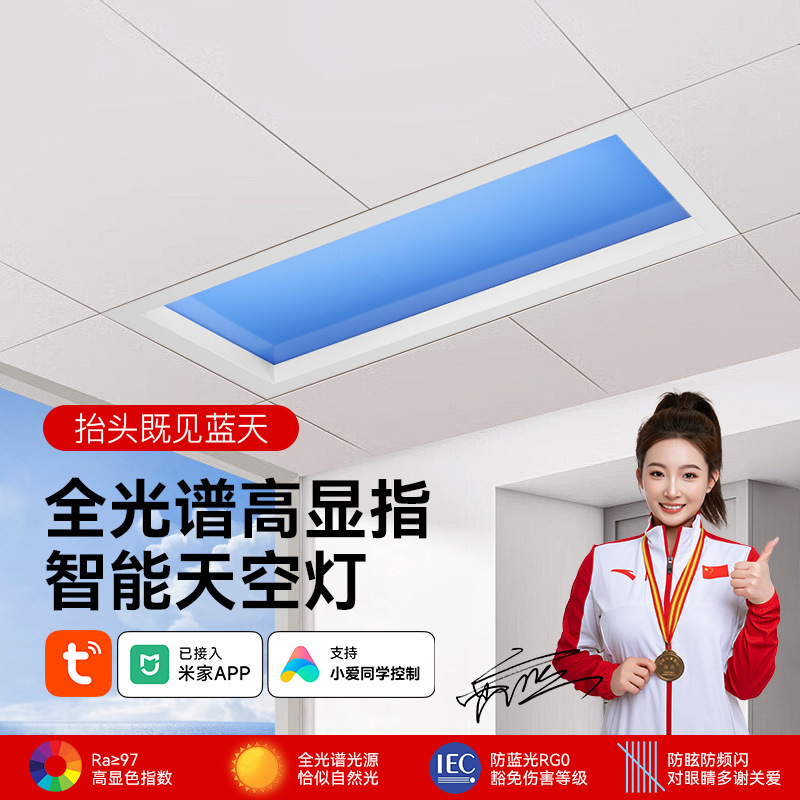 Factory Direct Sales of Clear Sky Lights, Intelligent Third-Generation Natural Light Kitchen Corridor Integrated Ceiling Embedded Clear Sky Lights in Stock Factory Direct Sales of Clear Sky Lights, Intelligent Third-Generation Natural Light Kitchen Corridor Integrated Ceiling Embedded Clear Sky Lights in Stock