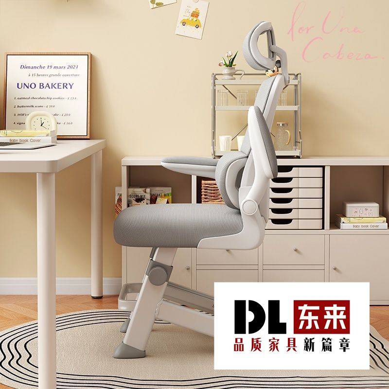 Special Chair for Middle School Students and Teenagers, Ergonomic Writing Special Office Desk, Computer Chair, Children's Student Chair