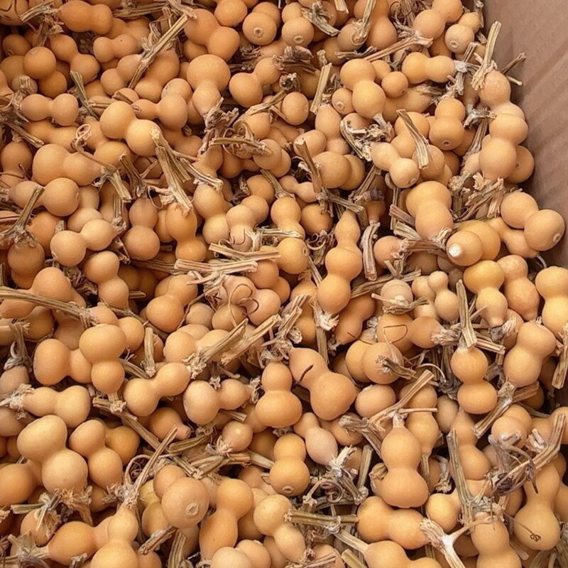 草里金小葫芦手把件手串手持文玩特小美国手捻产地卸売天然葫芦|undefined